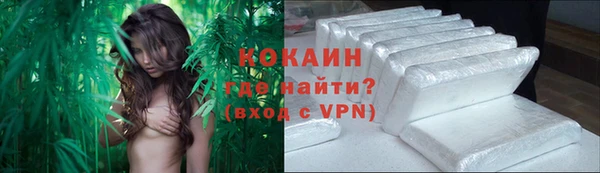 дживик Баксан