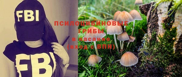 мяу мяу мука Покров