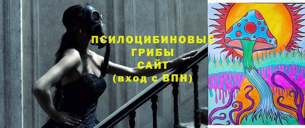 дживик Баксан